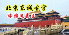 双飞破处中国北京-东城古宫旅游风景区